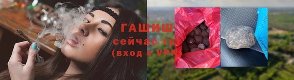 крисы Абаза