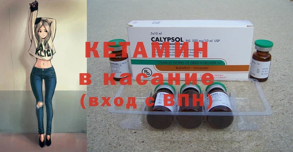 крисы Абаза