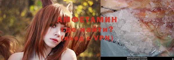 крисы Абаза
